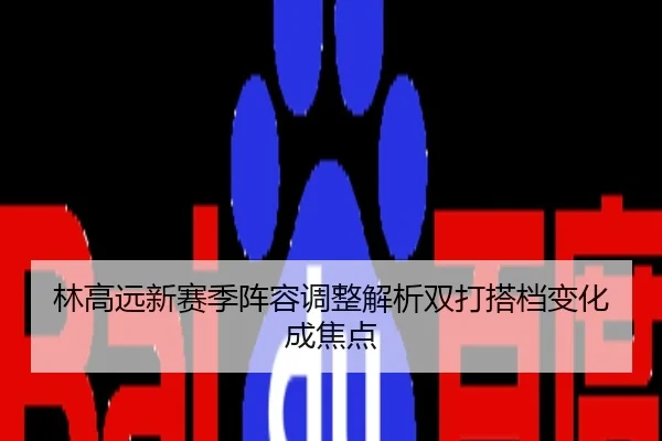 林高远新赛季阵容调整解析双打搭档变化成焦点
