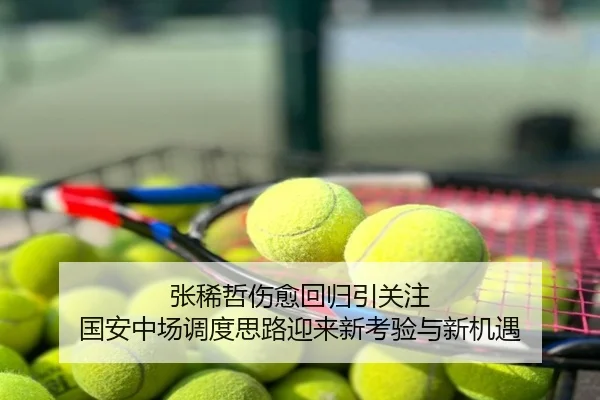 张稀哲伤愈回归引关注 国安中场调度思路迎来新考验与新机遇